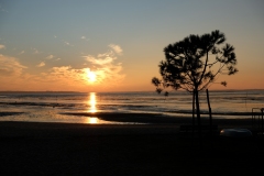 DSCF0447