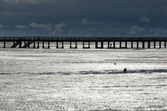 DSCF0945