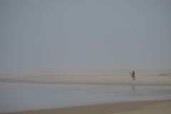 DSCF2342