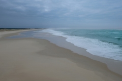 DSCF5459