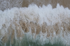 DSCF5479