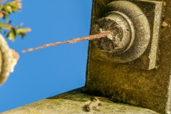 DSCF1304
